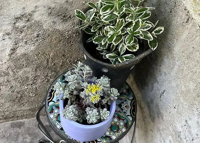 Casa Vecchia بيت للعطل *