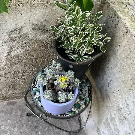 Casa Vecchia Ferienhaus *